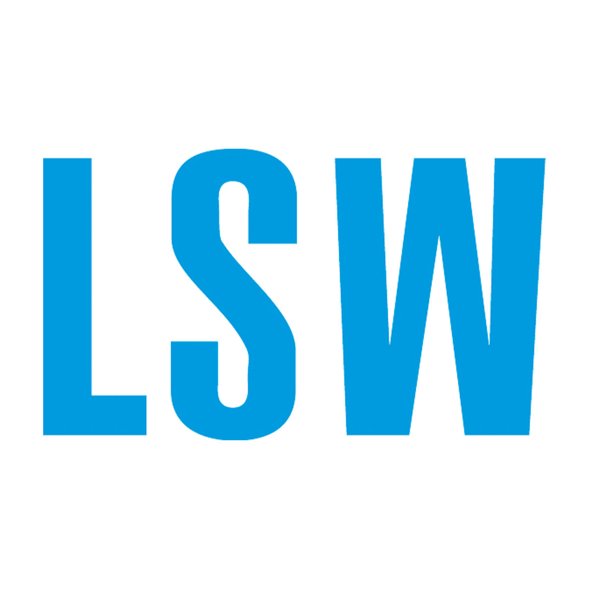 Seefest Allersee LSW Logo